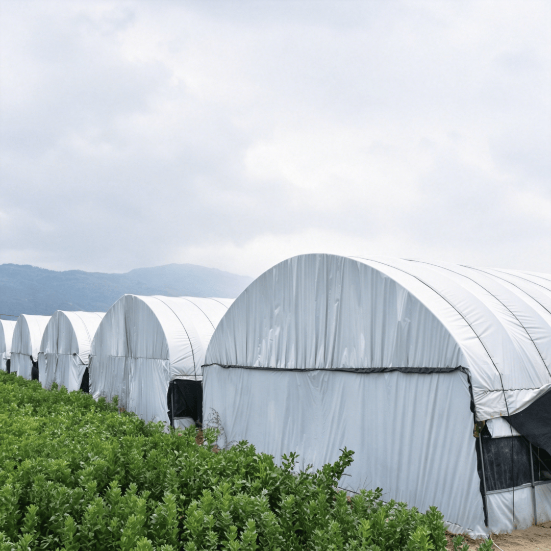 transparent greenhouse film (4)