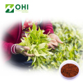 Black Tea Extract Polyphenols Powder