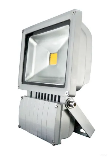 Marine 3400lm Ip65 Halogen Outdoor Led Floodlight Fixture 50w For Landscape Lighting