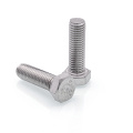 SS304 Hex Head Bolt M16