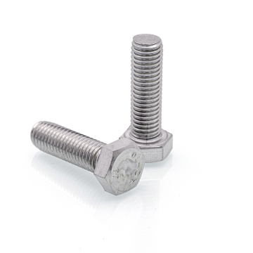 Ss304 Hex Head Bolt M16