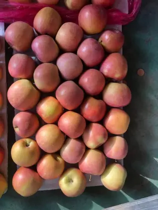 High Sugar Degree Honey FUJI Apple