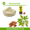 Extracto de raíz de ginseng rojo coreano Ginsenoside 5% en polvo