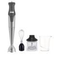 Bender a mano 3 in 1 Blender immersione commerciale Amazon