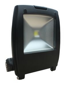 30w Cob Led Aluminum Flood Light 