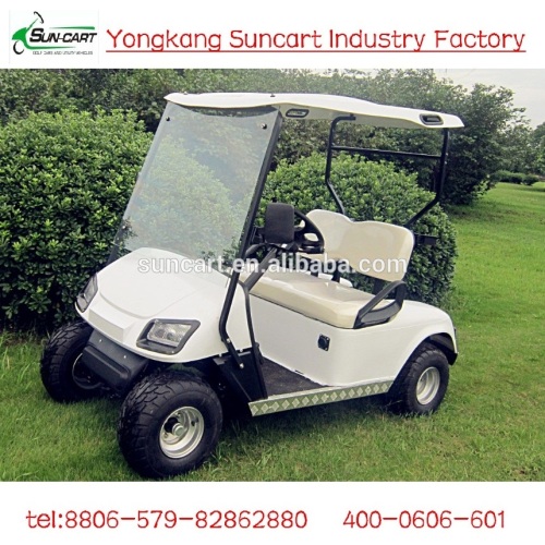 2 seater cheap golf cart,2 passenger golf cart,mini electric golf cart for sale,small electric golf cart