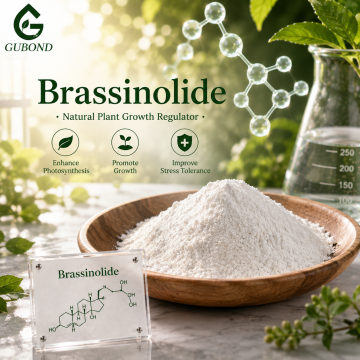 Regulator Tanaman Brassinolide untuk Pertanian Modern
