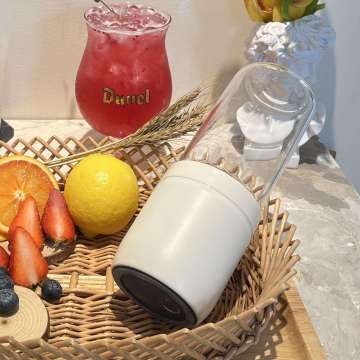 Wholesale Portable USB Electric Citrus Juicer Blender