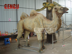 Life-size Animatronic Animal Model---Camel