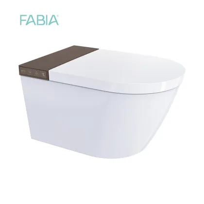 Smart Wall Mounted Toilet System