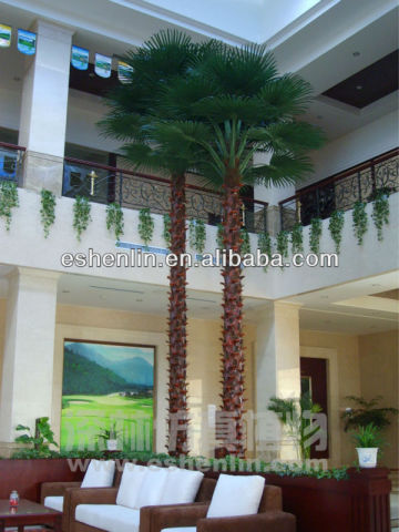 types of palm trees for decoration in the hall