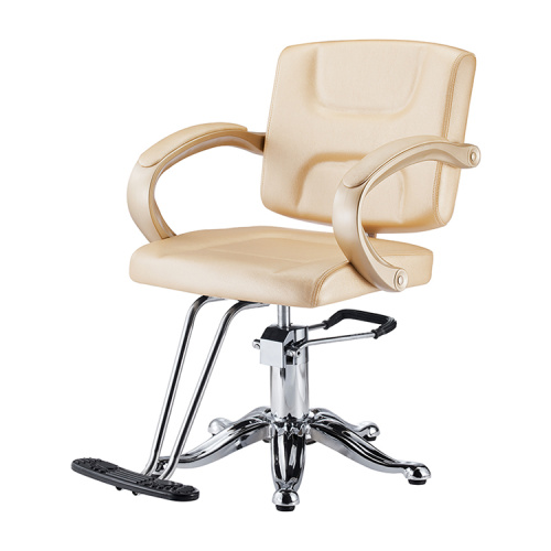 Salon Styling Chair Beige