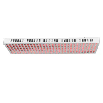 Near Infrared Red Light Therapy Sauna Massage