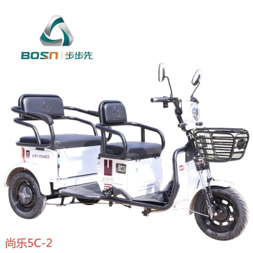 2 seater tricycle