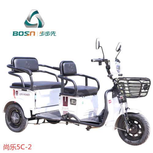Scooter per passeggeri elettrico ricreativo per anziani