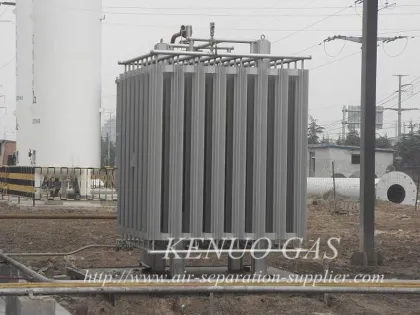 Ambient Temperature Gasifier