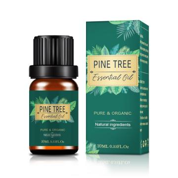 Óleo essencial de óleo de pinho Óleo de planta a granel para cosmético Óleo de pinheiro puro puro perfume de agulha de pinheiro