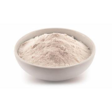 Instant oconut milk powder organic coconut powder