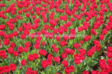 New products hot sale exterior wall bathroom 3d glazed polish floor tiles