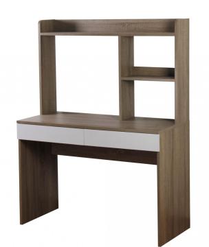 Professional computer desk with shelves and drawers