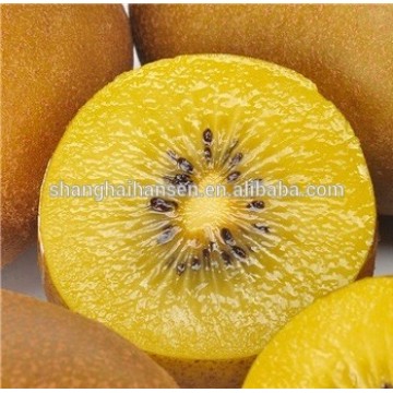 Import agent of kiwi fruit