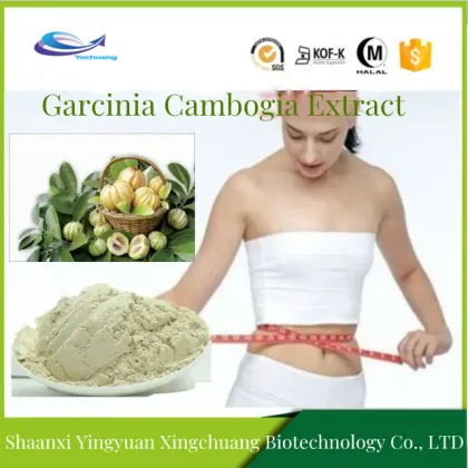 Loss weight hca garcinia cambogia extract