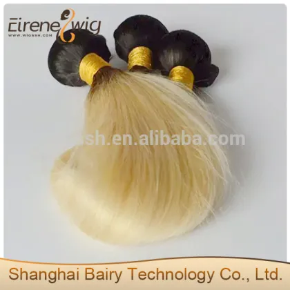 Eirene gorgeous and popular pure raw body wave hair weavon hair wet and wavy ombre colored indian human hair weave