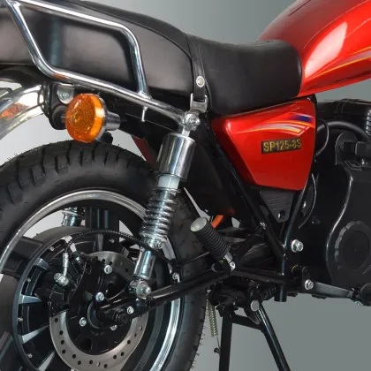 TZ hub-motor electric motorcycle