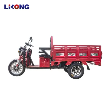 Zero Emission Electric Trike for Senior Citizens