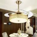 Fancy modern retractable ceiling fan