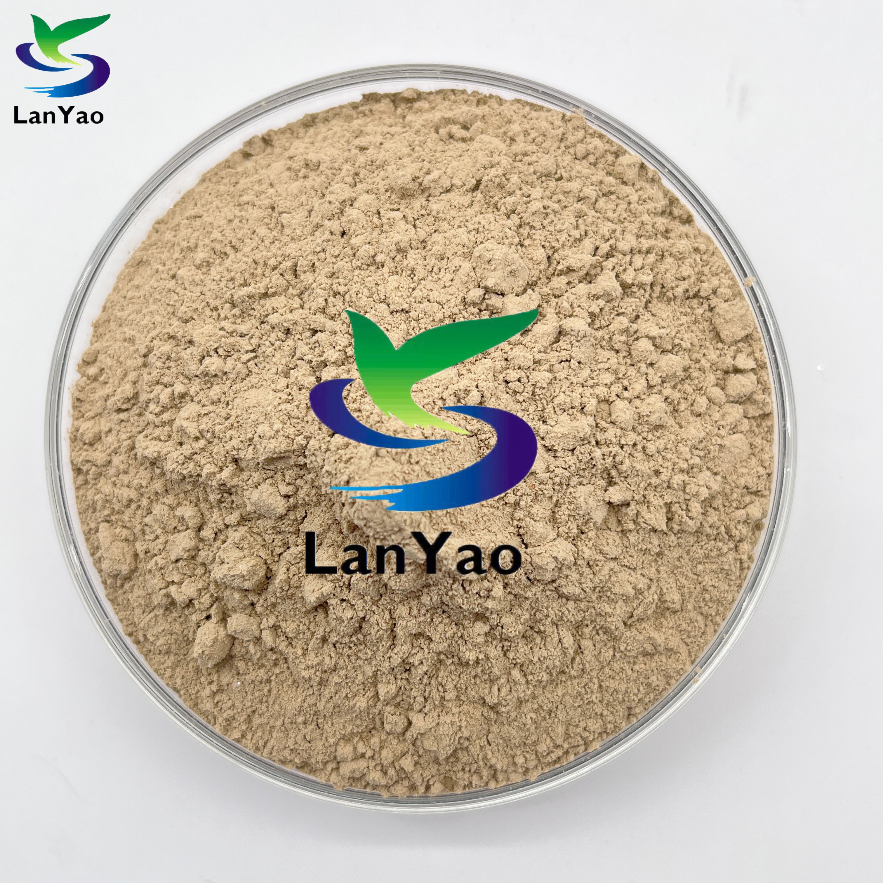 Nitrifizierbakterien bei der Abwasserbehandlung