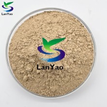 Nitrifikáló baktériumok szennyvízkezelésben