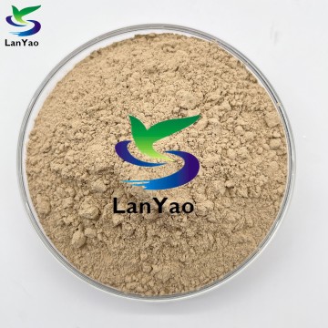 Nitrifikáló baktériumok szennyvízkezelésben