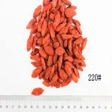Certified Size 220 Organic Dried Goji