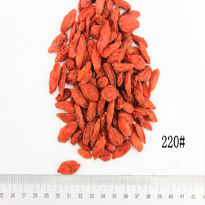 Goji certificato biologico 220 secco