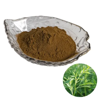 Fructus Kochiae Extract Powder Belvedere Fruit Extract Difuzi Extract
