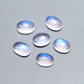 /msite/products/detail/productid/63720530/id/1522398.html