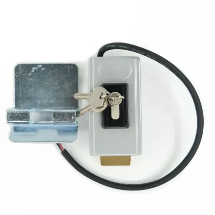 Electric Automatic Gate Openers and Security Lock Systems