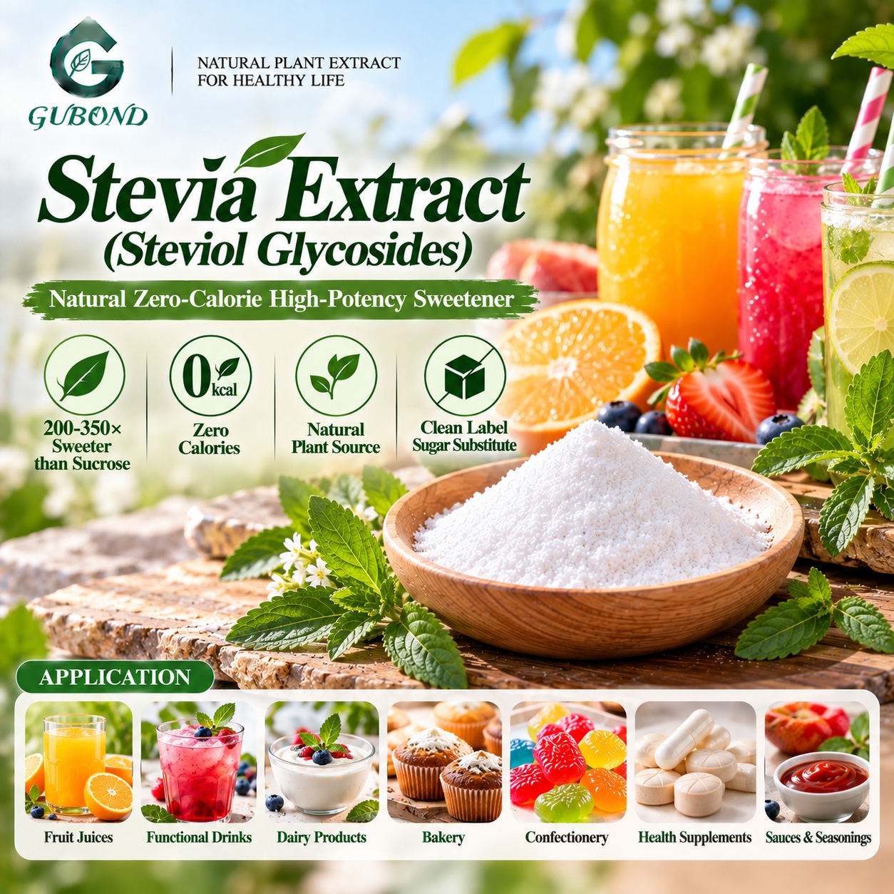 Stevia Extract (6)