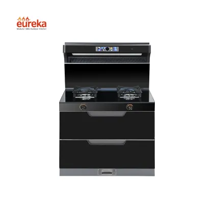 Electric Multifunctional Integrated Stove High-Quality Gas Stove