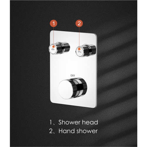 Push Shower Valve 2 Outlets Switch Concealed Shower Mixer Supplier