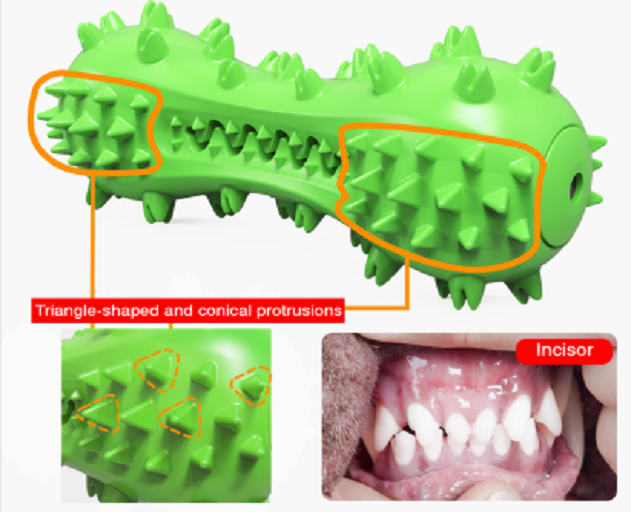 Dog Toothbrush Details 5