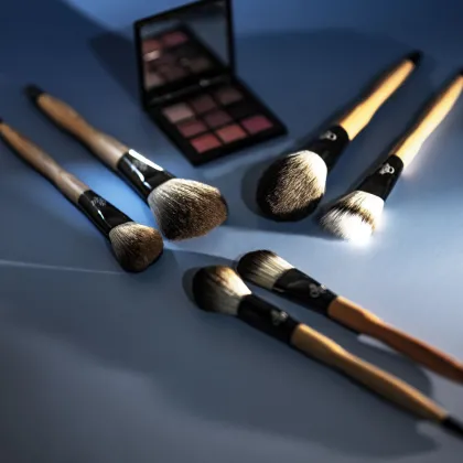 Premium Beauty Brush Kit