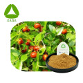 Ziziphus Jujuba Extracto Jujubosides 2% Powder