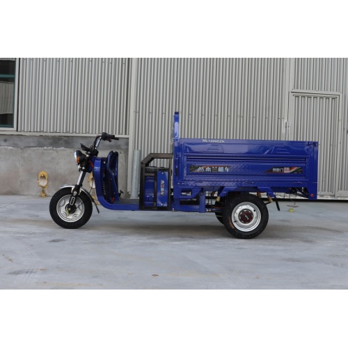 New Design Big Power Cargo Tricycle For Sale