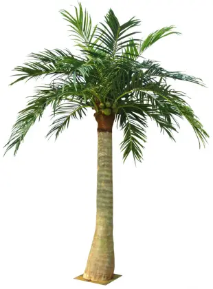 artificial coconut tree picture