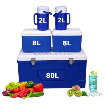 Custom Plastic 50L-150L Styrofoam Cooler Box for Easy Carrying
