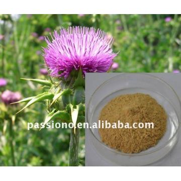 Best natural Milk Thistle Extract 80% Silymarin/ Silybum marianum