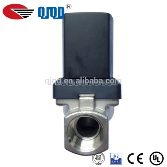 AC 220V Guide Tpye Stainless Steel Water Solenoid Valve