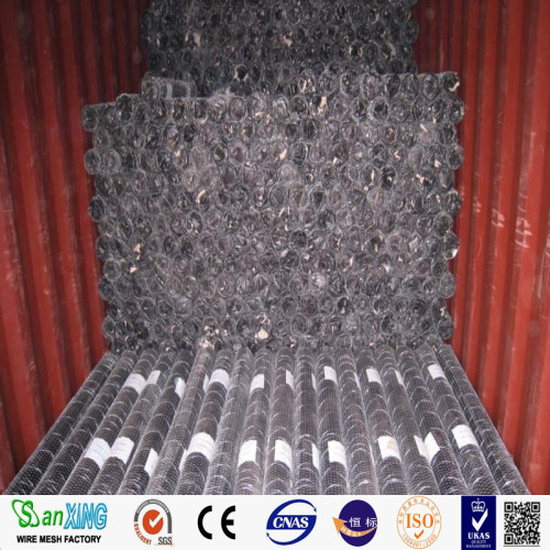 Chicken Wire Fence Hexagonal Chicken Wire Fence for Poultry Factory